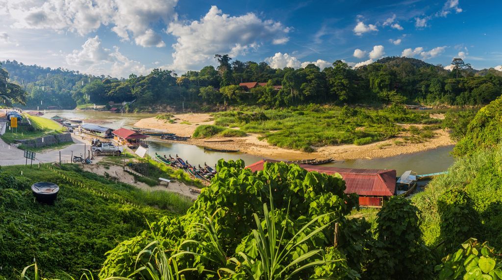 El Parque Nacional Taman Negara: Una Selva Milenaria