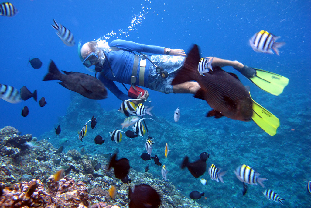 Buceo en Vanuatu: Descubre Pecios y Arrecifes Increíbles