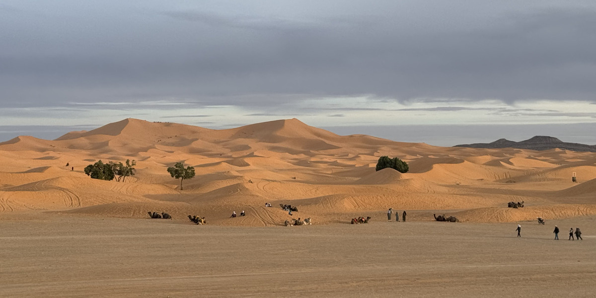 Explorando el Desierto del Sáhara: Aventuras Bajo las Estrellas