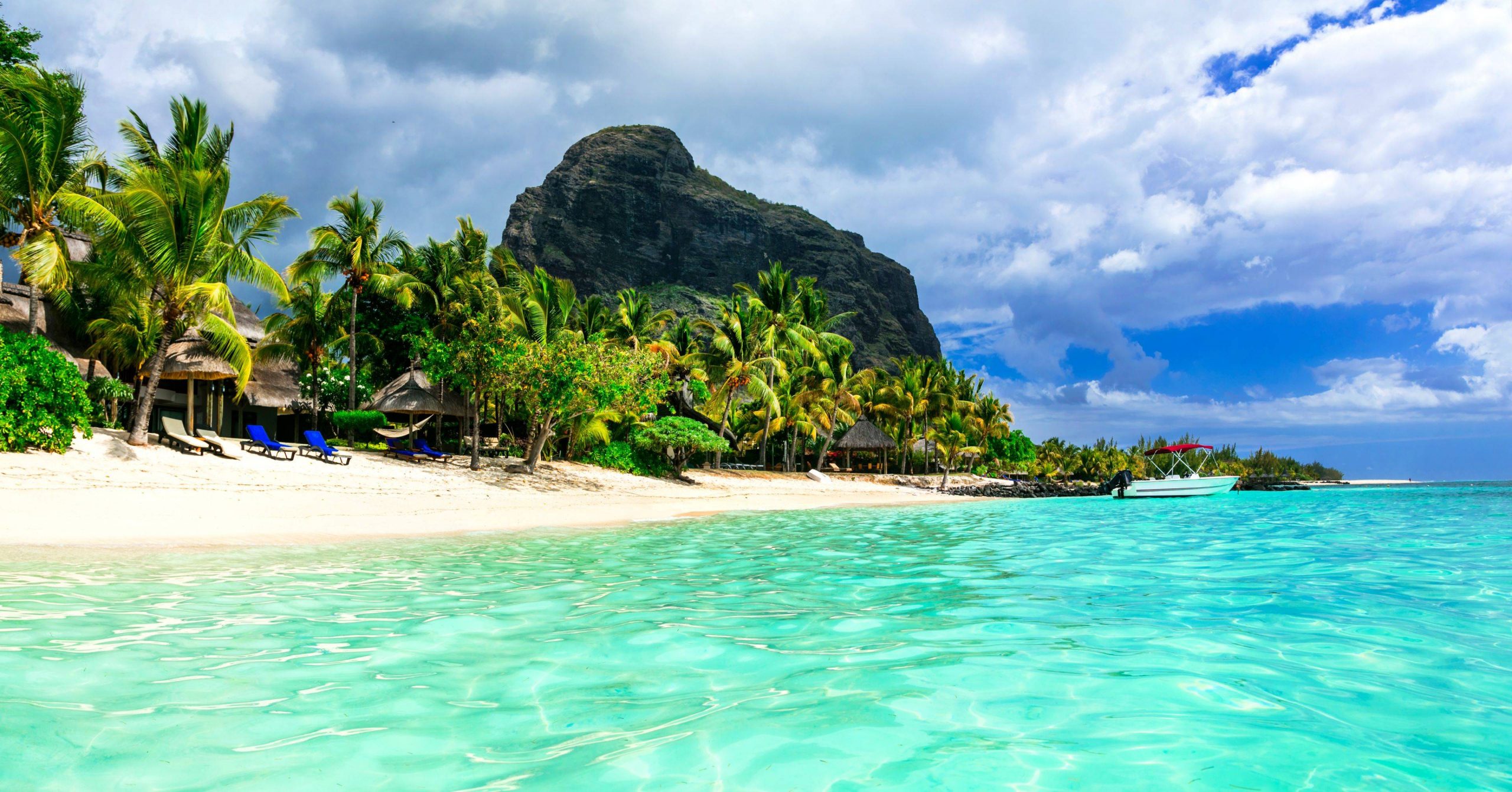 Playas, Montañas y Safari: Sudáfrica Te Espera