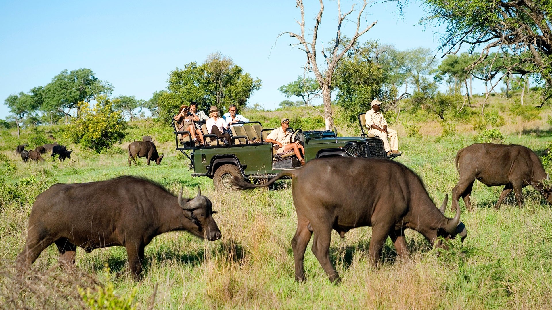 Aventuras Inolvidables en Sudáfrica
